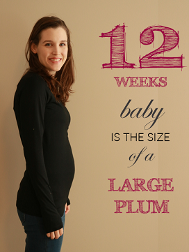 12 weeks pregnant bump