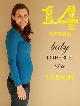 14 weeks pregnant bump