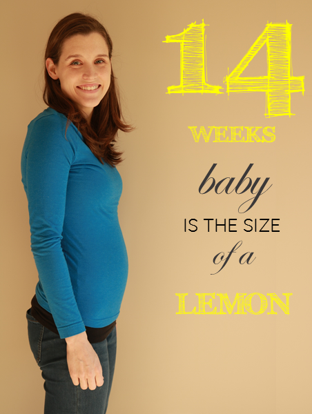 14 weeks pregnant