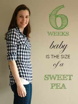 6 weeks pregnant bump