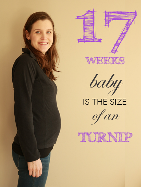 17 weeks pregnant