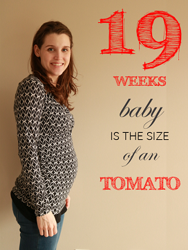 19 Weeks Pregnant Baby Bump Update