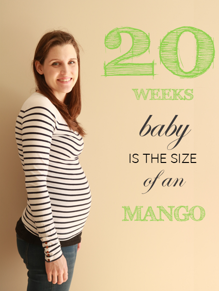 20 weeks pregnant title