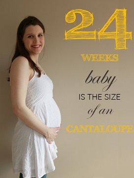 24 weeks pregnant baby bump