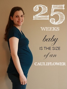 25 weeks pregnant baby bump