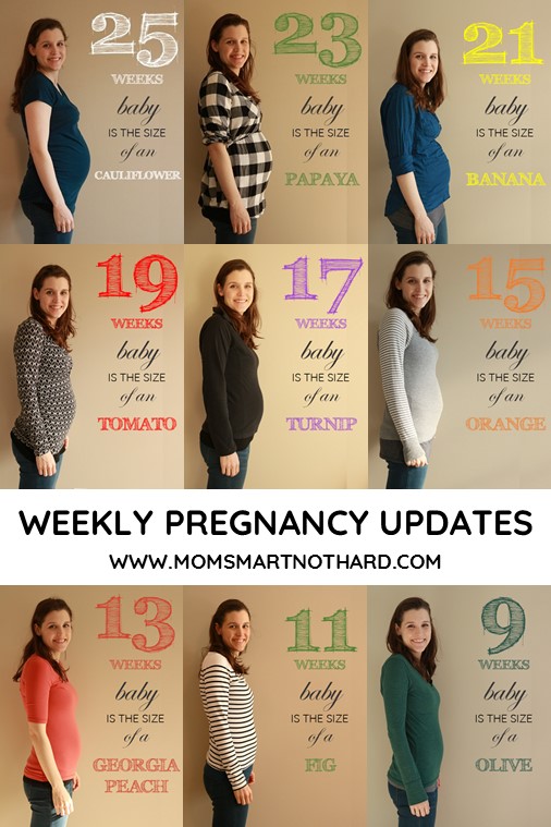 weekly pregnancy updates pin image
