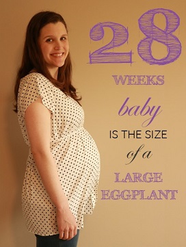 28 weeks pregnant baby bump feature image