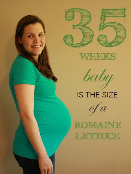 35 weeks pregnant baby bump update feature
