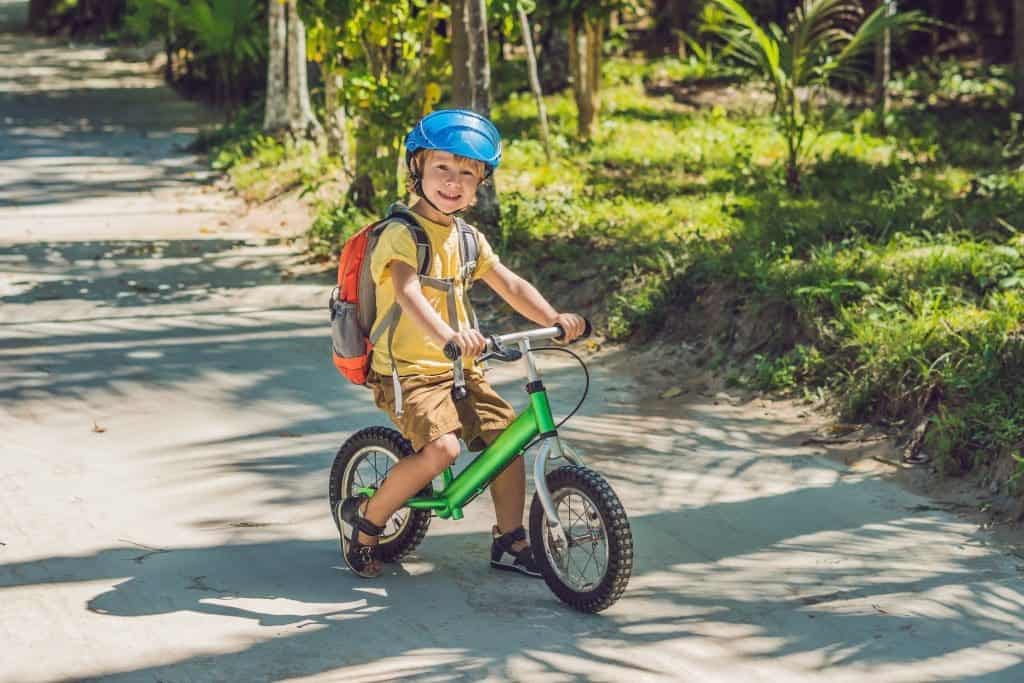 radio flyer glide n go balance bike with air tires