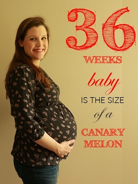 36 weeks pregnant baby bump feature image