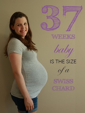 37 weeks pregnant baby bump feature image