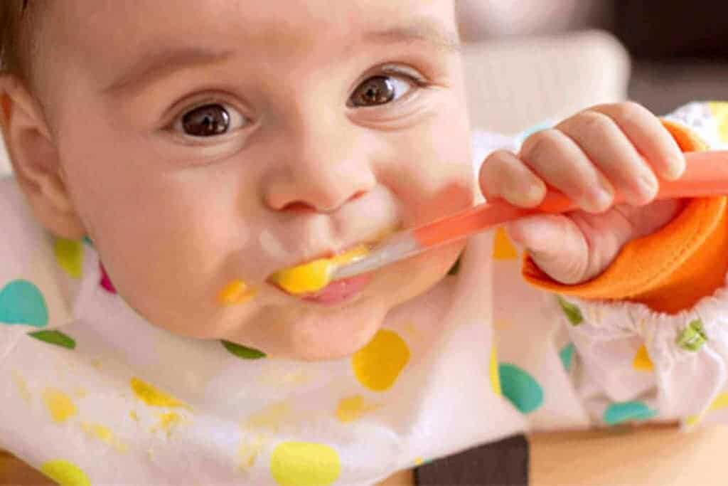 Best Organic Baby Food: A Comprehensive Buyers’ Guide And Reviews