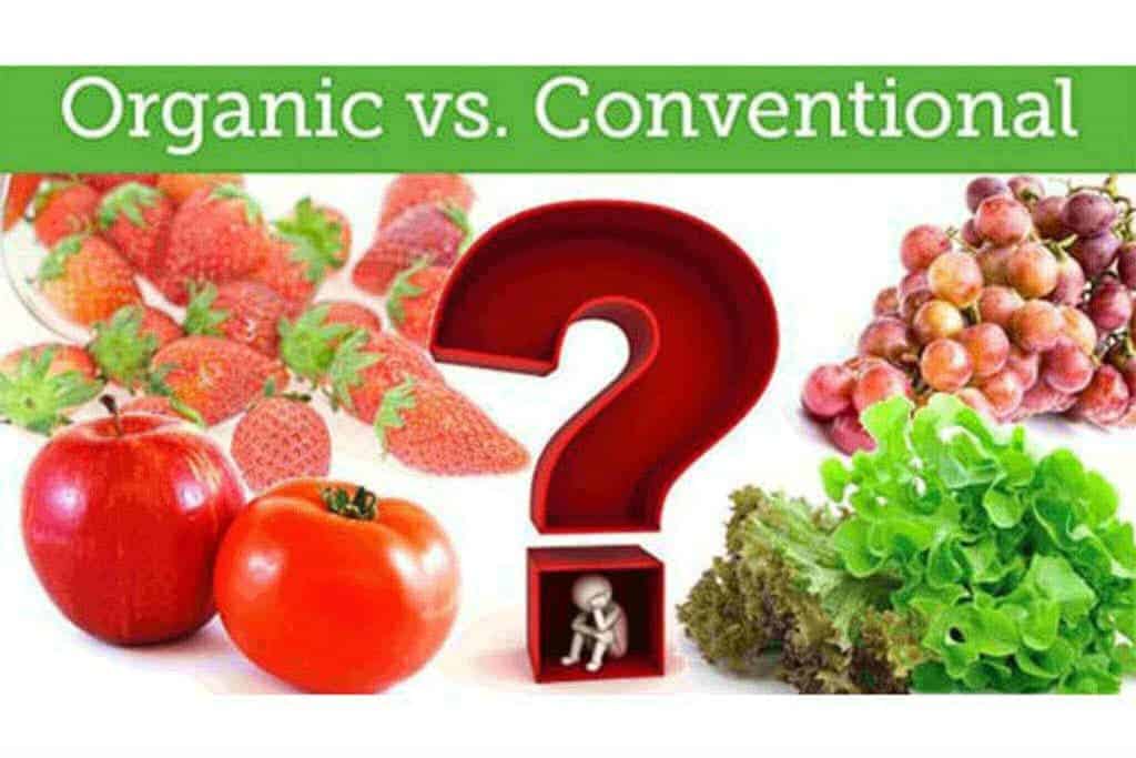 Organic vs conventional