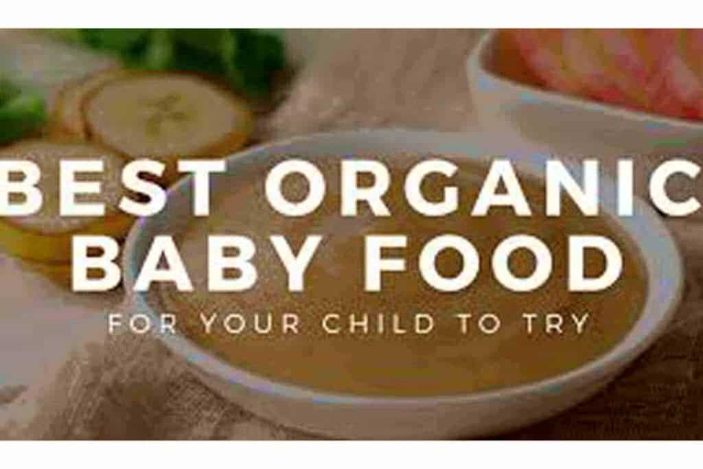 best organic baby food