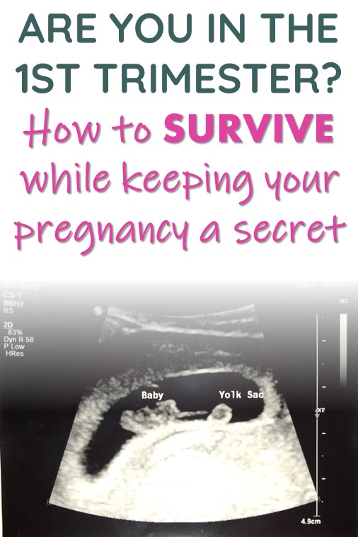 first trimester pregnancy symptoms pin2