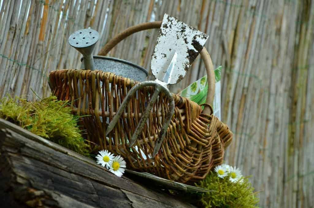 Coconut Oil as Garden Tools Cleaner