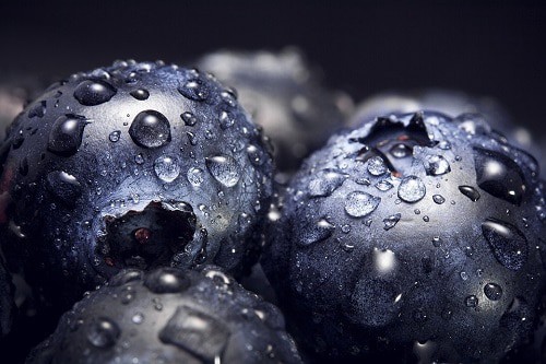 close up blueberries