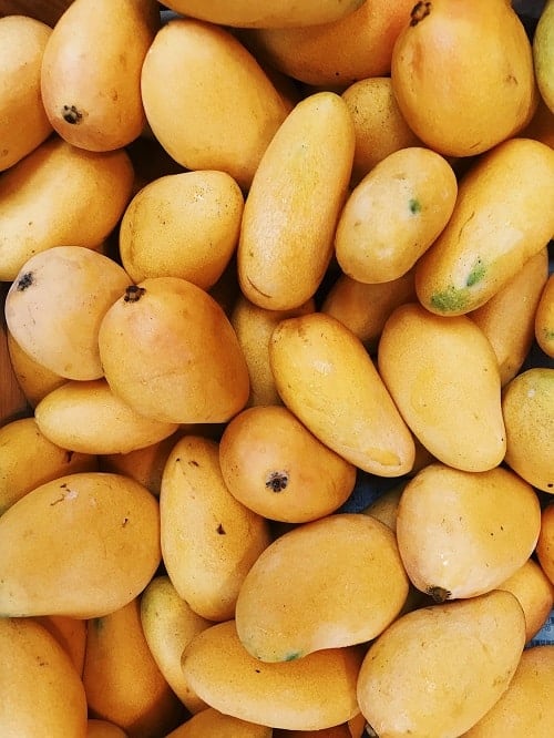 bunch of yellow mango